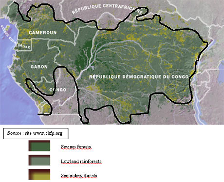 Tropical Rainforest Locations