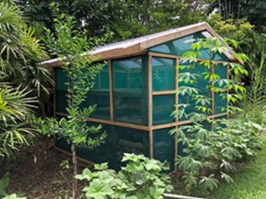Serre pour la culture de pousses construite en 2022 dans le jardin potager de la Résidence à Suva, Fidji.
