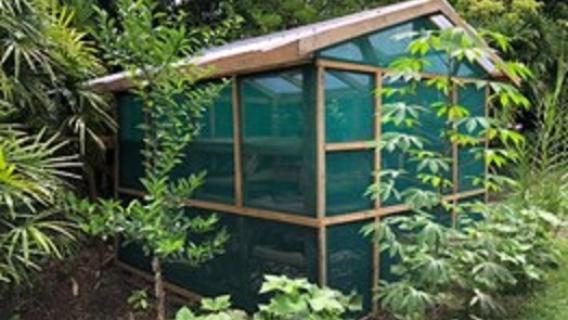 Serre pour la culture de pousses construite en 2022 dans le jardin potager de la Résidence à Suva, Fidji.