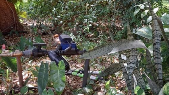 Système d’arrosage au goutte-à-goutte pour l’irrigation des jardins de l’Ambassade à Ouagadougou, Burkina Faso, en 2021.