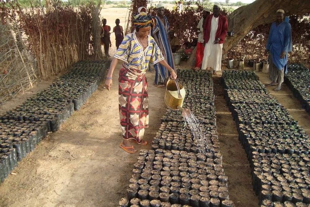 Image Diaporama - Les femmes arrosent des pots dans la pépinière.