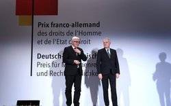 Image Diaporama - Jean-Marc Ayrault et Frank-Walter Steinmeier (...)
